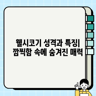 귀여운 웰시코기 무료 분양| 종류, 특징, 그리고 입양 전 알아야 할 모든 것 | 웰시코기 입양, 무료 분양, 견종 정보, 입양 가이드