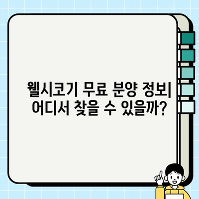 귀여운 웰시코기 무료 분양| 종류, 특징, 그리고 입양 전 알아야 할 모든 것 | 웰시코기 입양, 무료 분양, 견종 정보, 입양 가이드