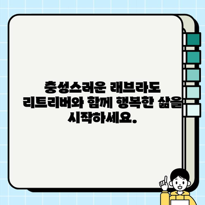 안산에서 무료 분양하는 충성스러운 래브라도 리트리버를 만나보세요! | 강아지 입양, 안산 강아지 분양, 무료 분양
