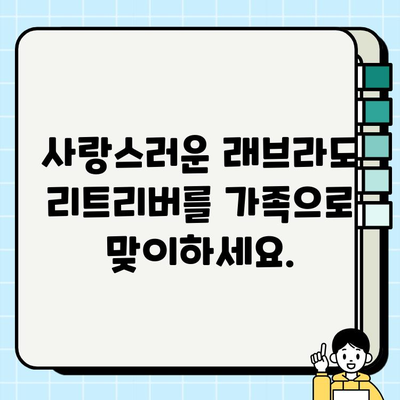 안산에서 무료 분양하는 충성스러운 래브라도 리트리버를 만나보세요! | 강아지 입양, 안산 강아지 분양, 무료 분양