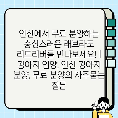 안산에서 무료 분양하는 충성스러운 래브라도 리트리버를 만나보세요! | 강아지 입양, 안산 강아지 분양, 무료 분양