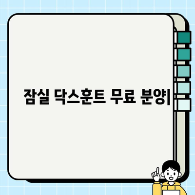 잠실에서 사랑스러운 닥스훈트 무료 분양 | 귀여운 닥스훈트 가족을 맞이하세요!