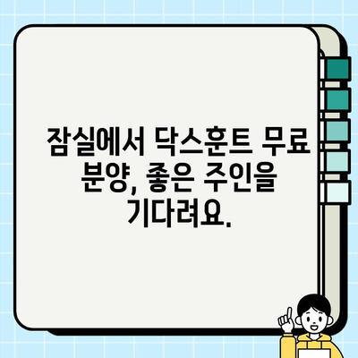 잠실에서 사랑스러운 닥스훈트 무료 분양 | 귀여운 닥스훈트 가족을 맞이하세요!