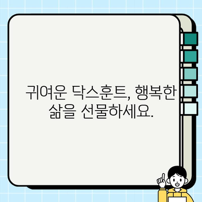 잠실에서 사랑스러운 닥스훈트 무료 분양 | 귀여운 닥스훈트 가족을 맞이하세요!