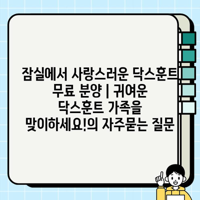 잠실에서 사랑스러운 닥스훈트 무료 분양 | 귀여운 닥스훈트 가족을 맞이하세요!