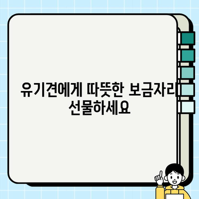 유기견 무료 분양| 생명을 구하는 올바른 선택 | 유기견 입양, 반려동물 가족, 책임감 있는 분양