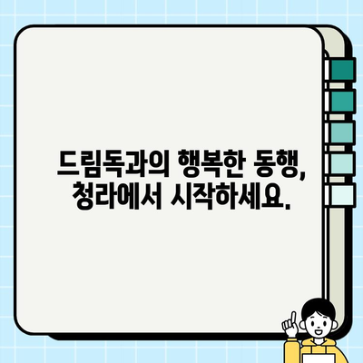 청라에서 입양하기 좋은 드림독 추천 | 강아지 입양, 청라 동물병원, 유기견 입양