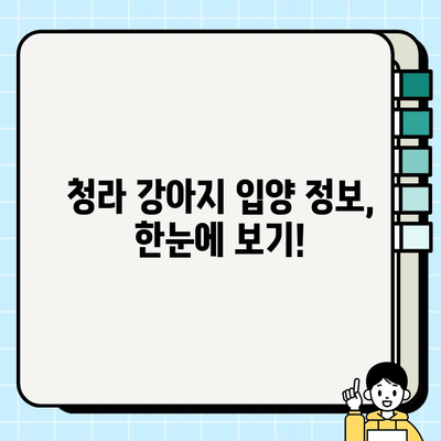 청라에서 입양하기 좋은 드림독 추천 | 강아지 입양, 청라 동물병원, 유기견 입양