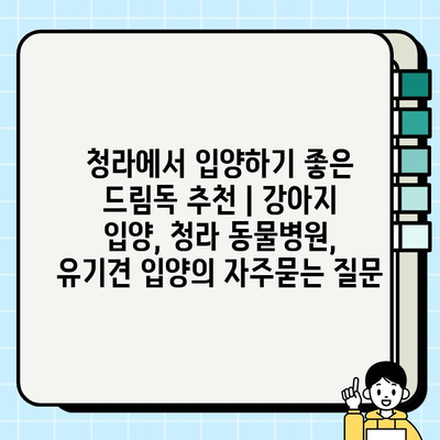 청라에서 입양하기 좋은 드림독 추천 | 강아지 입양, 청라 동물병원, 유기견 입양