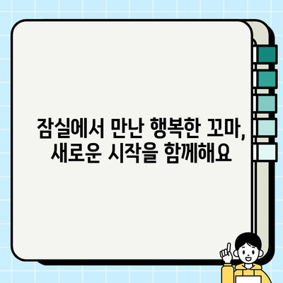 잠실에서 만난 닥스훈트, 따뜻한 새 가족을 찾습니다! | 무료 분양, 닥스훈트, 잠실, 입양