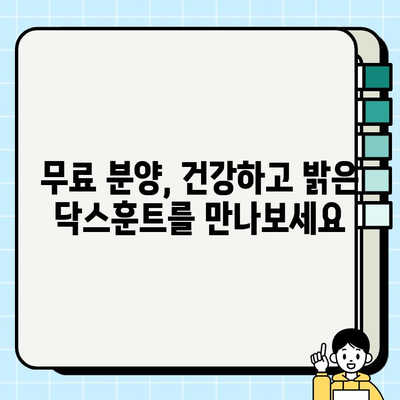 잠실에서 만난 닥스훈트, 따뜻한 새 가족을 찾습니다! | 무료 분양, 닥스훈트, 잠실, 입양