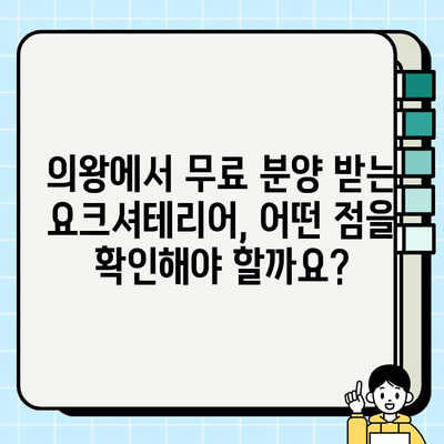 의왕에서 무료 분양 받는 요크셔테리어, 혈통별 건강 관리 지식 | 요크셔테리어, 무료 분양, 의왕, 건강 정보, 혈통