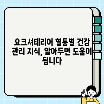 의왕에서 무료 분양 받는 요크셔테리어, 혈통별 건강 관리 지식 | 요크셔테리어, 무료 분양, 의왕, 건강 정보, 혈통
