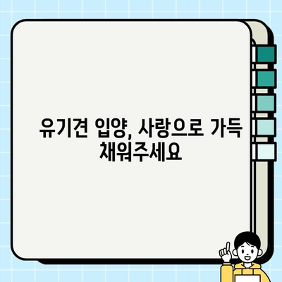 유기견 무료 분양| 생명을 구하는 올바른 선택 | 유기견 입양, 반려동물 가족, 책임감 있는 분양