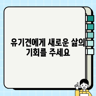 유기견 무료 분양| 생명을 구하는 올바른 선택 | 유기견 입양, 반려동물 가족, 책임감 있는 분양