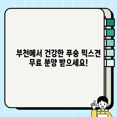 부천 무료 분양 푸숑 믹스견, 건강하고 활발한 매력 만나보세요! | 부천 강아지 무료 분양, 푸숑 믹스견, 건강 정보