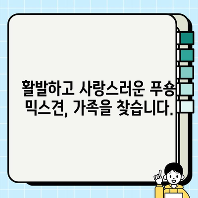부천 무료 분양 푸숑 믹스견, 건강하고 활발한 매력 만나보세요! | 부천 강아지 무료 분양, 푸숑 믹스견, 건강 정보