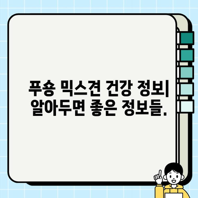 부천 무료 분양 푸숑 믹스견, 건강하고 활발한 매력 만나보세요! | 부천 강아지 무료 분양, 푸숑 믹스견, 건강 정보