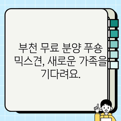 부천 무료 분양 푸숑 믹스견, 건강하고 활발한 매력 만나보세요! | 부천 강아지 무료 분양, 푸숑 믹스견, 건강 정보