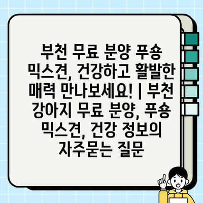 부천 무료 분양 푸숑 믹스견, 건강하고 활발한 매력 만나보세요! | 부천 강아지 무료 분양, 푸숑 믹스견, 건강 정보