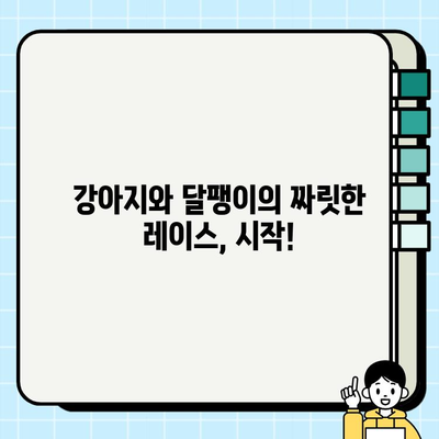 강아지와 달팽이, 누가 더 빨리 달릴까? | 🐶🐌 레이스 놀이, 재미있게 즐기는 팁