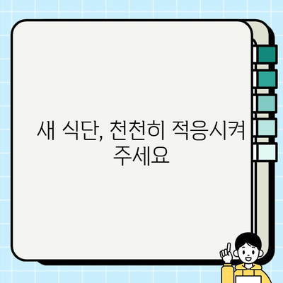 강아지 식단 전환, 건강하게 성공하기 위한 7가지 주의 사항 | 강아지, 식단, 건강, 전환, 팁