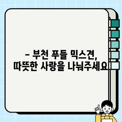 부천 푸들 믹스견 무료 분양| 행복한 가족을 찾습니다 | 부천, 푸들, 믹스견, 무료 분양, 입양