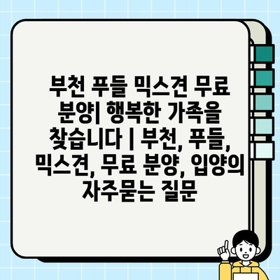 부천 푸들 믹스견 무료 분양| 행복한 가족을 찾습니다 | 부천, 푸들, 믹스견, 무료 분양, 입양