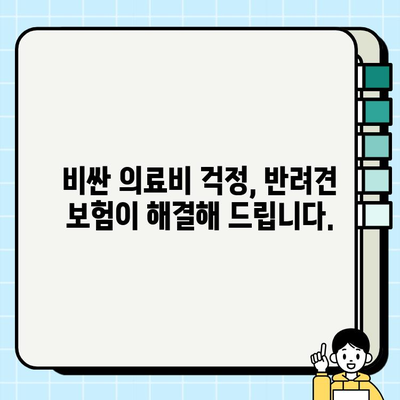 강아지 비상 상황, 보험으로 안전하게 대비하세요! | 반려견 보험, 비상 의료비, 사고 대비