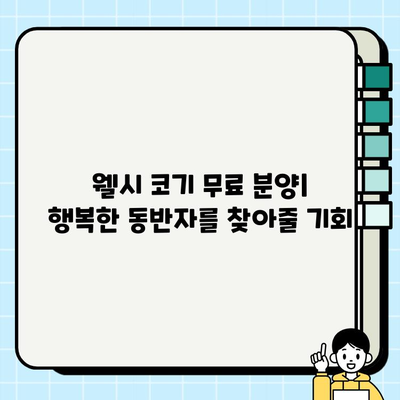 웰시 코기 종류 & 무료 분양 정보| 당신에게 맞는 웰시 코기를 찾아보세요! | 웰시 코기 분양, 웰시 코기 종류, 무료 분양