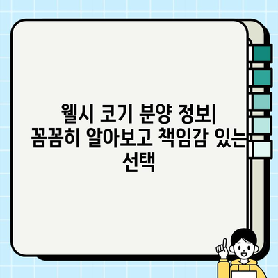 웰시 코기 종류 & 무료 분양 정보| 당신에게 맞는 웰시 코기를 찾아보세요! | 웰시 코기 분양, 웰시 코기 종류, 무료 분양