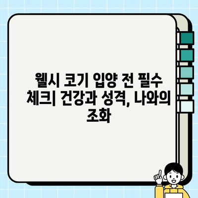 웰시 코기 종류 & 무료 분양 정보| 당신에게 맞는 웰시 코기를 찾아보세요! | 웰시 코기 분양, 웰시 코기 종류, 무료 분양