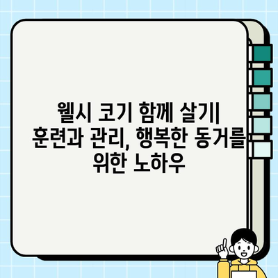 웰시 코기 종류 & 무료 분양 정보| 당신에게 맞는 웰시 코기를 찾아보세요! | 웰시 코기 분양, 웰시 코기 종류, 무료 분양