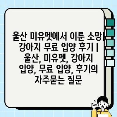 울산 미유펫에서 이룬 소망| 강아지 무료 입양 후기 | 울산, 미유펫, 강아지 입양, 무료 입양, 후기