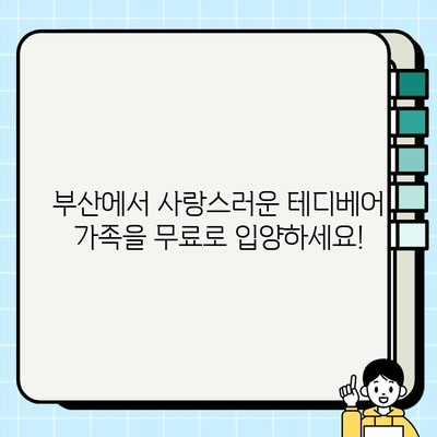 부산 테디베어 무료 분양| 사랑스러운 곰돌이 가족을 만나보세요! | 테디베어 분양, 부산 애견샵, 무료 입양