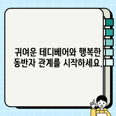 부산 테디베어 무료 분양| 사랑스러운 곰돌이 가족을 만나보세요! | 테디베어 분양, 부산 애견샵, 무료 입양