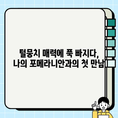 의정부에서 만난 세상 귀여운 포메라니안| 털뭉치 매력에 푹 빠지다 | 포메라니안, 의정부, 강아지, 반려견, 귀여운 강아지