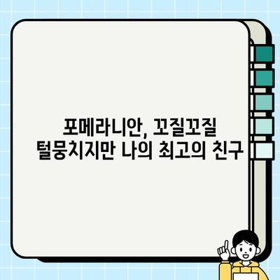 의정부에서 만난 세상 귀여운 포메라니안| 털뭉치 매력에 푹 빠지다 | 포메라니안, 의정부, 강아지, 반려견, 귀여운 강아지