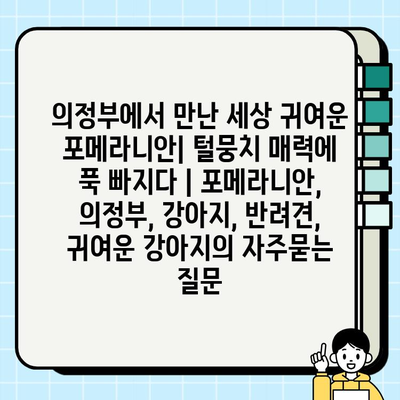 의정부에서 만난 세상 귀여운 포메라니안| 털뭉치 매력에 푹 빠지다 | 포메라니안, 의정부, 강아지, 반려견, 귀여운 강아지