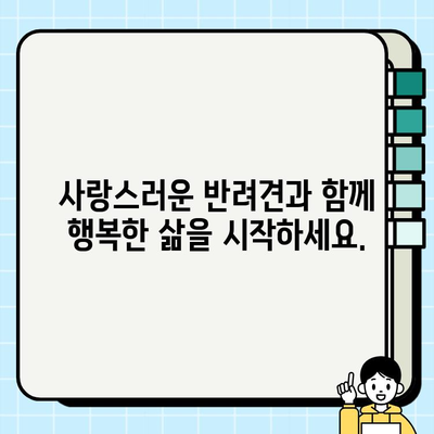 사랑과 애정이 가득한 동반자를 찾으세요| 무료 강아지 분양 정보 | 입양, 반려견, 가족