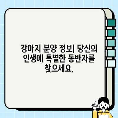 사랑과 애정이 가득한 동반자를 찾으세요| 무료 강아지 분양 정보 | 입양, 반려견, 가족