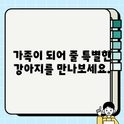 사랑과 애정이 가득한 동반자를 찾으세요| 무료 강아지 분양 정보 | 입양, 반려견, 가족