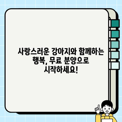 충실한 가족 구성원, 강아지 무료 분양으로 맞이하세요| 행복한 동반자를 찾아 드립니다 | 강아지 입양, 무료 분양, 애완견, 반려견