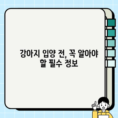 군산 강아지 무료 분양, 모든 궁금증 해결! | 군산 지역 무료 분양 정보, 입양 전 알아야 할 것, 책임감 있는 반려동물 돌봄 팁