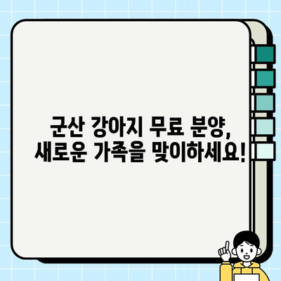 군산 강아지 무료 분양, 모든 궁금증 해결! | 군산 지역 무료 분양 정보, 입양 전 알아야 할 것, 책임감 있는 반려동물 돌봄 팁