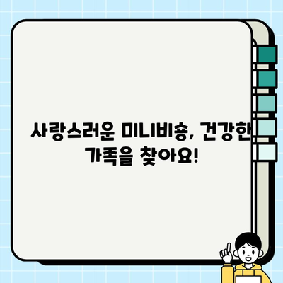 일산 사랑스러운 미니비숑 무료 분양| 건강하고 행복한 가족을 찾아요! | 미니비숑 분양, 강아지 무료 분양, 일산 애견 분양