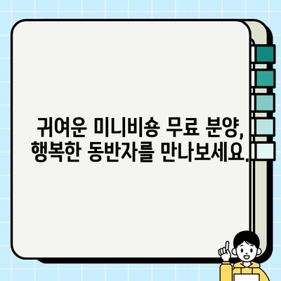 일산 사랑스러운 미니비숑 무료 분양| 건강하고 행복한 가족을 찾아요! | 미니비숑 분양, 강아지 무료 분양, 일산 애견 분양