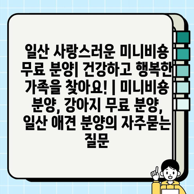 일산 사랑스러운 미니비숑 무료 분양| 건강하고 행복한 가족을 찾아요! | 미니비숑 분양, 강아지 무료 분양, 일산 애견 분양
