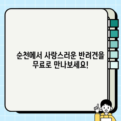 순천 강아지 무료 분양| 소원을 이루는 순천 | 순천 강아지 무료 분양 정보, 입양 가이드, 유기견 보호소
