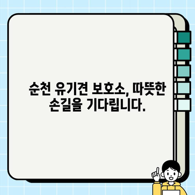 순천 강아지 무료 분양| 소원을 이루는 순천 | 순천 강아지 무료 분양 정보, 입양 가이드, 유기견 보호소